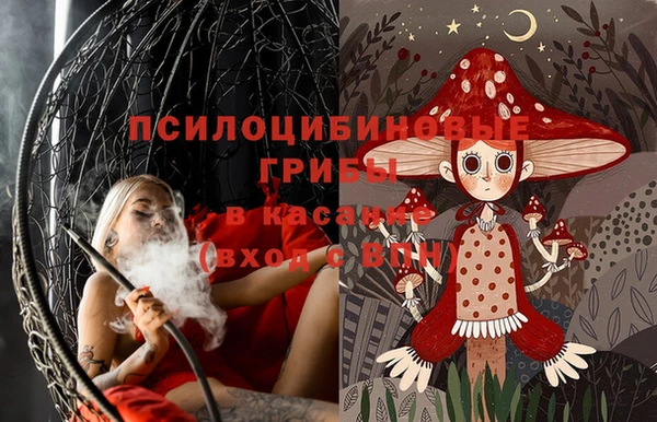 молекула духа Аркадак