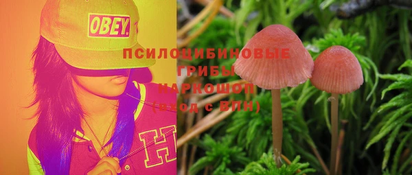 соль ск Арсеньев