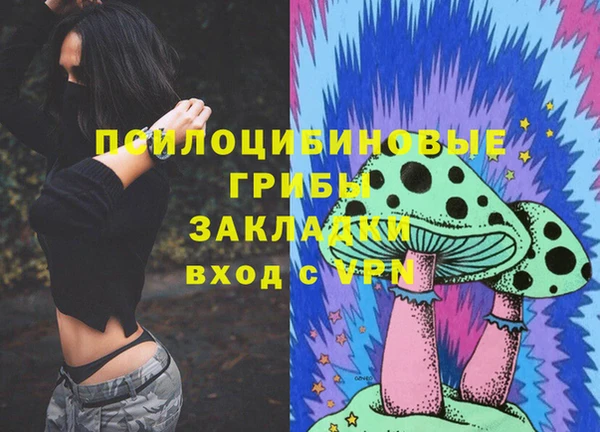 соль ск Арсеньев